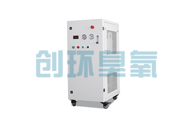 蚌埠比传统换水更高效?臭氧发生器在石斑鱼养殖中的水质净化原理解析