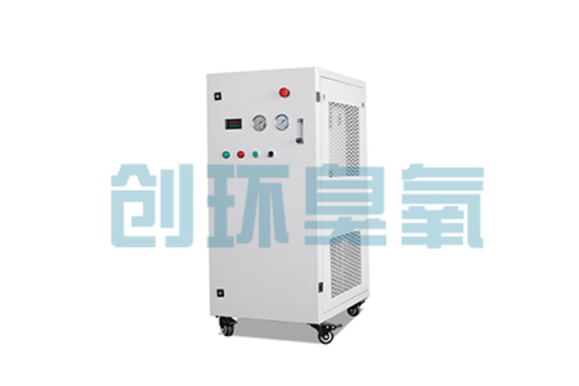 蚌埠比传统换水更高效？臭氧发生器在石斑鱼养殖中的水质净化原理解析